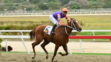 Ojo al 5y6: Yegua que fue el robo de toda Venezuela está de vuelta para la R38 Ojo al 5y6: Yegua que fue el robo de toda Venezuela está de vuelta para la R38