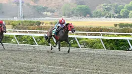 Exclusiva: Conoce cuántos caballos argentinos van a llegar a La Rinconada