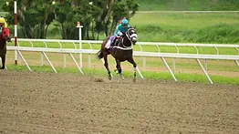Princesa Fina desafía a los machos en la XXI Copa Invitacional del Caribe (GI)