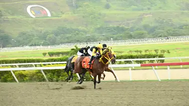 Nieto de legendario campeón estadounidense reaparece en La Rinconada Nieto de legendario campeón estadounidense reaparece en La Rinconada