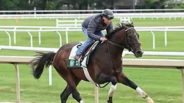 Sovereignty sufre contratiempo físico y peligra su participación en la Jockey Club Gold Cup (G1)