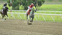 Potro que se llevaban de robo en su debut puede ser uno de los tajos de la jornada