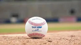 La LVBP rendirá tributo a los héroes del Clásico Mundial en su próxima temporada