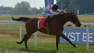 Nieta de Sadler´s Well gana la Kentucky Turf Cup Invitational y va a la Breeders’ Cup Nieta de Sadler´s Well gana la Kentucky Turf Cup Invitational y va a la Breeders’ Cup
