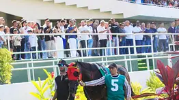 Más de 1 millón de dólares en el monto sellado por segunda semana consecutiva en el 5y6