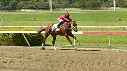 Llegó lesionado y metió un galope en su debut en La Rinconada