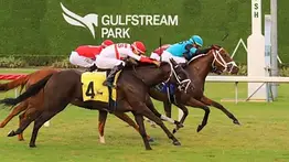 El Princess Rooney Stakes es el primer Stakes del Sunshine Meet en Gulfstream Park
