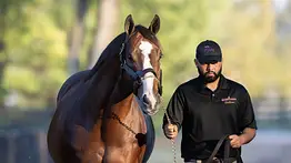 Debuta hija de un ganador del Fountain of Youth Stakes (G2) en La Rinconada