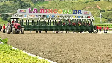 Este es el cuadro sugerido del 5 y 6 del domingo 13-9-2026 en La Rinconada Este es el cuadro sugerido del 5 y 6 del domingo 13-9-2026 en La Rinconada