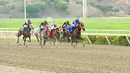 ¡Ojo con este retorno! Acumula briseos de lujo para reaparecer ganando