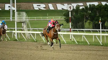 Multado jinete ganador de Clásico grado 1 en La Rinconada Multado jinete ganador de Clásico grado 1 en La Rinconada