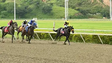 La Rinconada: Tronó en sus aprontes y promete estirar su racha victoriosa en el 5y6 La Rinconada: Tronó en sus aprontes y promete estirar su racha victoriosa en el 5y6