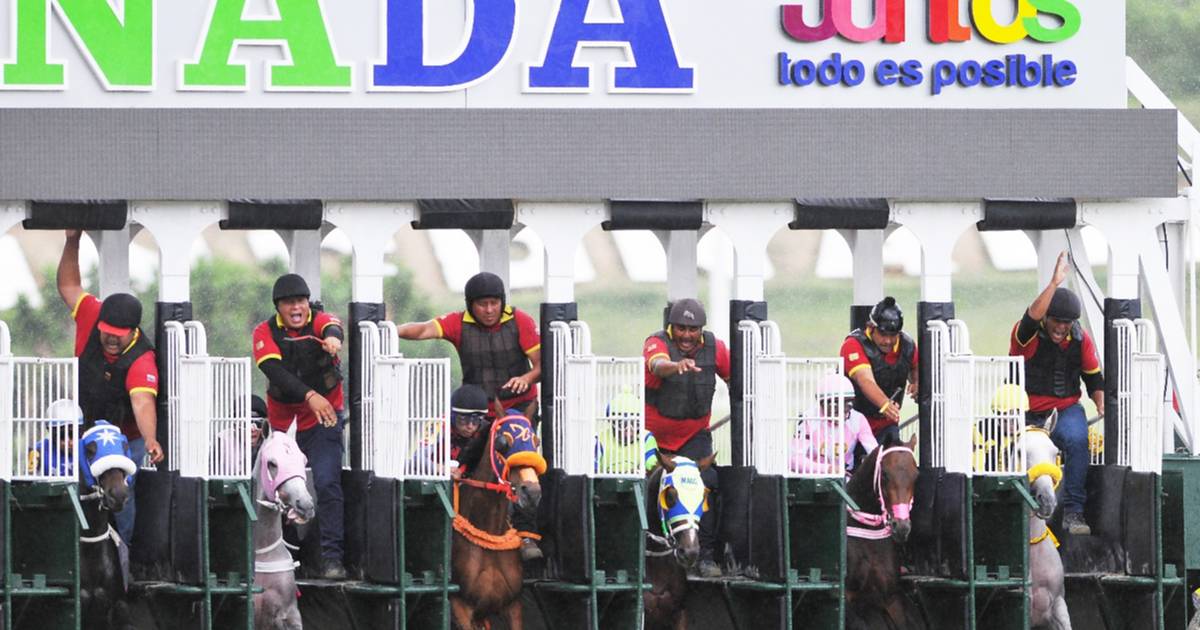 Datos de última hora para el Hipódromo Internacional La Rinconada 20-9-2026