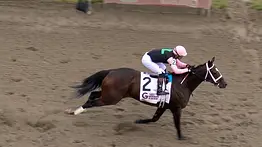 Bodacious Bay sorprende y gana el Cotillion Stakes en Parx Racing