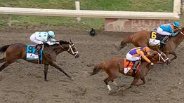 The Puma gana el Pennsylvania Derby con Javier Castellano y Gustavo Delgado
