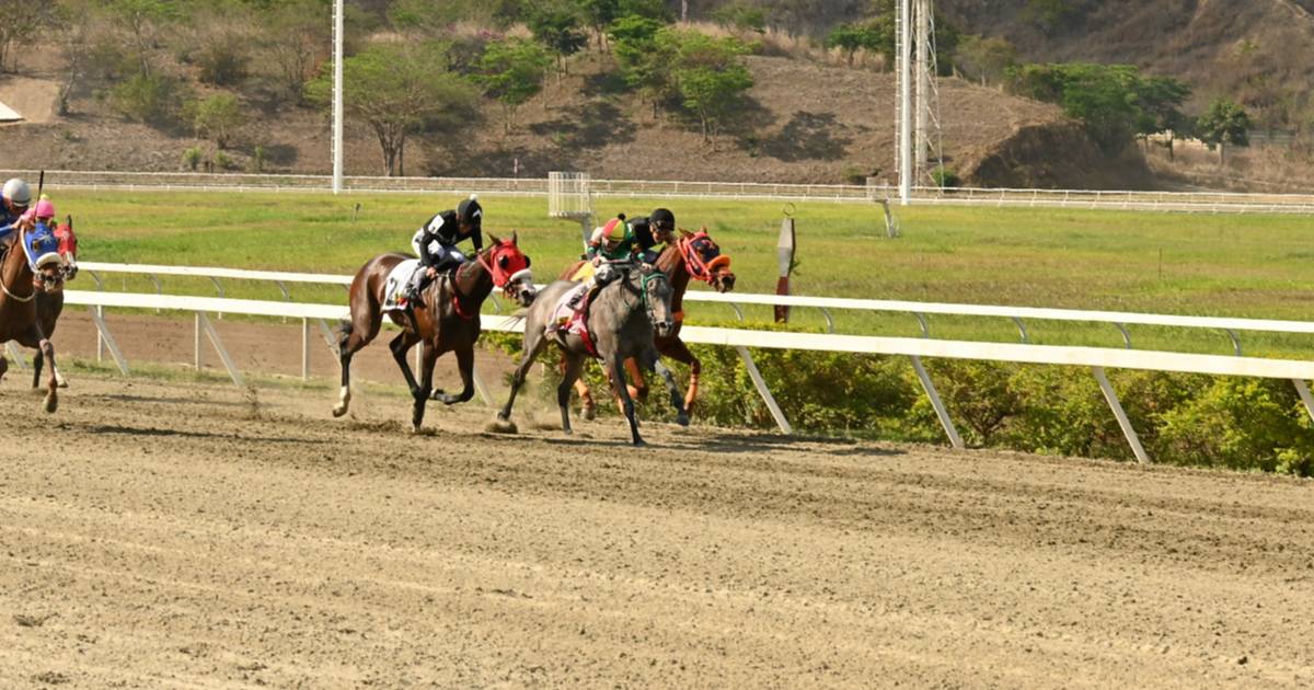 Resultados del domingo 20 de septiembre en La Rinconada 2026