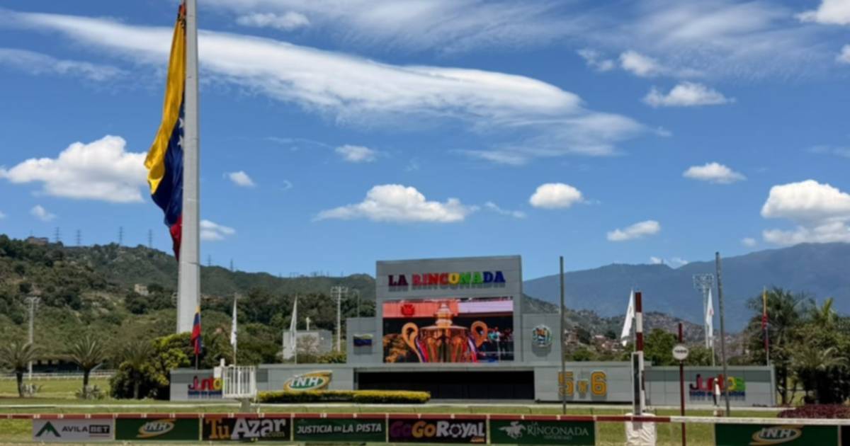 ¡Así quedaron los resultados del 5 y 6 Nacional el domingo 20-09-2026 en La Rinconada!