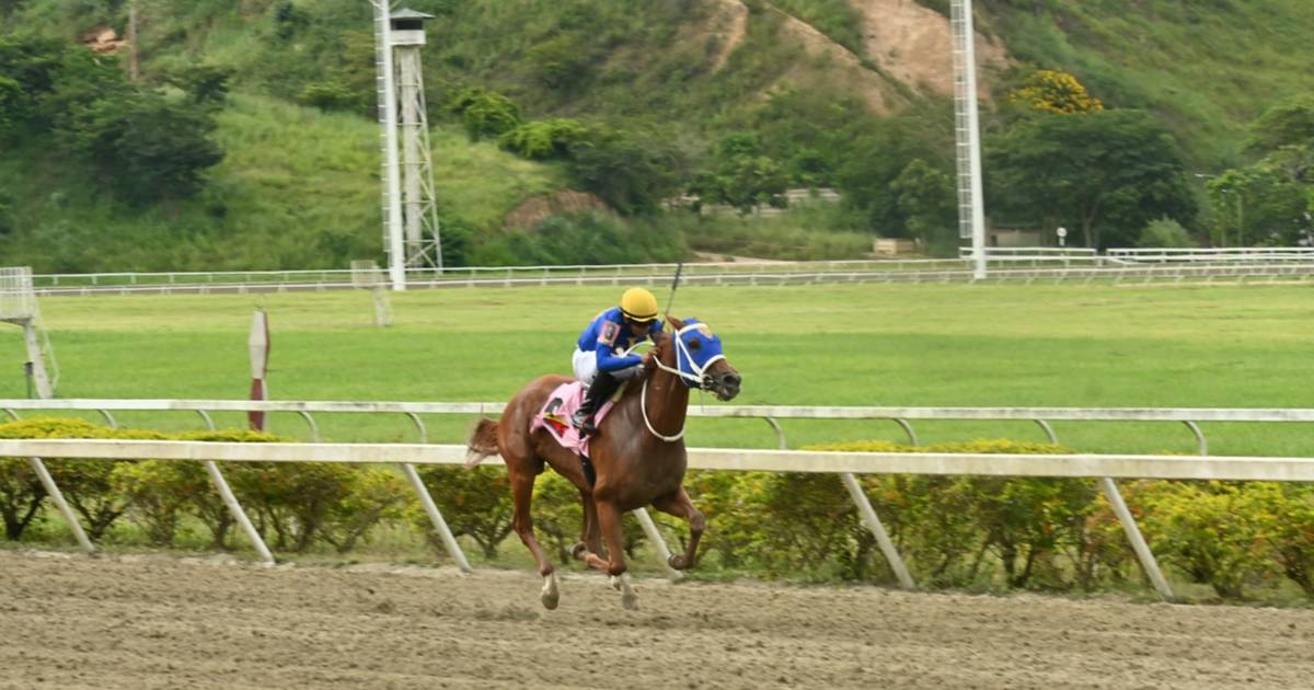 “Piensan en Big”: La hazaña de este domingo del Stud Big Valdi en La Rinconada
