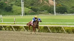 “Piensan en Big”: La hazaña de este domingo del Stud Big Valdi en La Rinconada