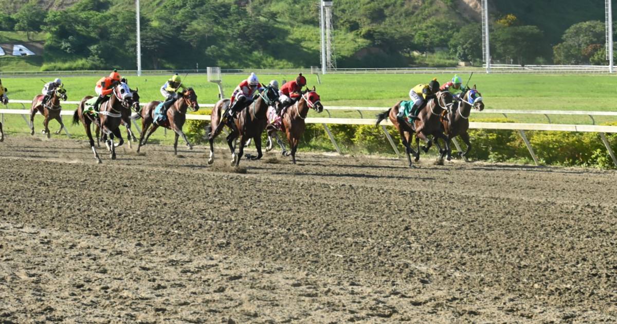 Suspenden por una semana a jockey profesional en La Rinconada