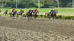 Suspenden por una semana a jockey profesional en La Rinconada