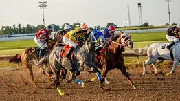 Desenlace polémico entre venezolanos en la octava carrera de Fairmount Park