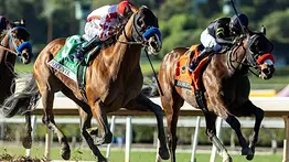 Sacrificado potro de Bob Baffert que costó $2.4 millones de dólares
