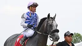 ¿Cuánto valen los hijos del caballo con el que Javier Castellano conquistó el Preakness?