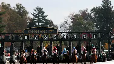 Esta semana Keeneland iniciará su Fall Meet 2026 Esta semana Keeneland iniciará su Fall Meet 2026