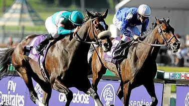 Debuta nieto de un ganador de la Breeders’Cup Classic (GI) en La Rinconada Debuta nieto de un ganador de la Breeders’Cup Classic (GI) en La Rinconada