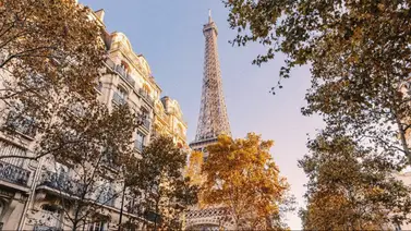 Francia declara “emergencia nacional” por la propagación ´de una terrible plaga Francia declara “emergencia nacional” por la propagación ´de una terrible plaga