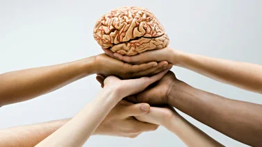 ¿Buscando fortalecer la salud cerebral? Conoce estos 10 alimentos para el cerebro