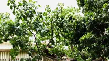Así se encuentra la situación en Caracas tras las intensas precipitaciones(+Videos)