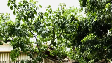 Así se encuentra la situación en Caracas tras las intensas precipitaciones(+Videos) Así se encuentra la situación en Caracas tras las intensas precipitaciones(+Videos)