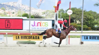 Caballo que tiene más de 900 días sin correr en La Rinconada reaparece con chance de ganar