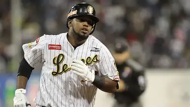 LVBP: Alexander Palma con objetivos claros con los Leones LVBP: Alexander Palma con objetivos claros con los Leones