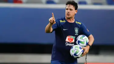 ¿Quién es Fernando Diniz?: El finalista de la Copa Libertadores y actual entrenador de Brasil ¿Quién es Fernando Diniz?: El finalista de la Copa Libertadores y actual entrenador de Brasil