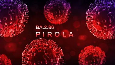Detectan una nueva variante de Covid-19 llamada Pirola