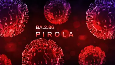 Detectan una nueva variante de Covid-19 llamada Pirola Detectan una nueva variante de Covid-19 llamada Pirola