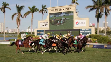 Datos de Última Hora para Gulfstream Park 7-10-2023