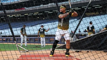 LVBP: De esta manera Leones del Caracas finaliza su primera semana de pretemporada 
