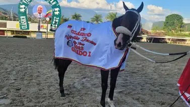 Strength Mask triunfa en el Clásico Virgilio Decán de La Rinconada Strength Mask triunfa en el Clásico Virgilio Decán de La Rinconada