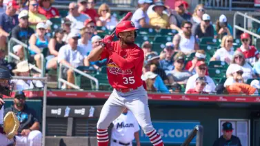 LIDOM: Gigantes del Cibao recibe dos lanzadores y este grandeliga en sus practicas LIDOM: Gigantes del Cibao recibe dos lanzadores y este grandeliga en sus practicas