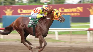 El Rojo gana la Triple Corona en Panamá y asegura su cupo para el Clásico del Caribe El Rojo gana la Triple Corona en Panamá y asegura su cupo para el Clásico del Caribe