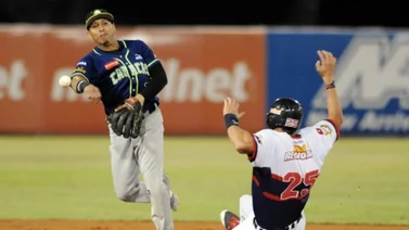 LVBP: Leones del Caracas y Tigres de Aragua tienen fecha para su primer compromiso de pretemporada (+Detalles)