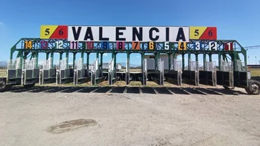 Seis yeguas son parte de la Copa Alfredo León de la reunión 20 en Valencia 