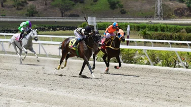 Con 189 días sin correr esta yegua reaparece el domingo en la Rinconada