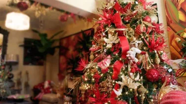 ¡Casi es navidad! Ya están disponibles los árboles y adornos para la temporada navideña (+Precios)