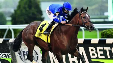 Mira cómo se encuentra Cody’s Wish antes de su viaje a Santa Anita Mira cómo se encuentra Cody’s Wish antes de su viaje a Santa Anita