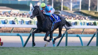 El japonés Equinox sigue como el mejor caballo del mundo según este ranking